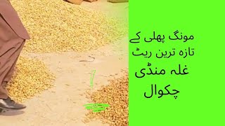 mong phalli k rate chakwalpeanut price2024agriculture chakwal farming automobile villagelife [upl. by Hey]