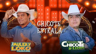 CHICOTE ESTRALA  MULEKY LOKO E CHICOTE DE LUXO [upl. by Ryle]