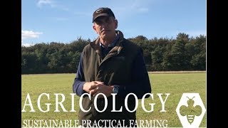 Sainfoin Nutritional Analysis  Agricology Vlog Sept 18 [upl. by Keily]