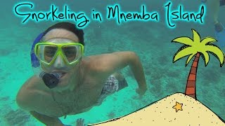 Snorkeling in Mnemba Island [upl. by Eiramnerual]