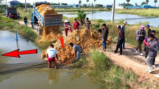 Starting New Project Landfilling Flooded area using Bulldozer D20P and Dump truck 5T unloading soil [upl. by Ness]