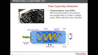 Experimental Design Best Practice for Multicolor Flow Cytometry [upl. by Bealle]