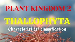 Thallophyta algal kingdom characteristics amp classification in detail [upl. by Sokim]