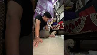 Puppy ka Fracture🥲 vlog minivlog tranding [upl. by Tiffy]