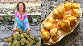 Fruitarians eat 150 POUNDS of super smelly CEMPEDAK FRUIT in Sumatra [upl. by Atsyrt]