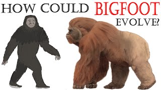 SPECULATIVE EVOLUTION OF BIGFOOT  Its Not Gigantopithecus [upl. by Arretahs]