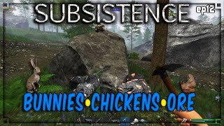 Subsistence  S5 ep12  Bunnies Chickens amp Ore  Base building survival [upl. by Rozek]