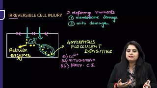 Cell Injury Pathology Rapid Revision For FMGE amp NEET PG By Dr Preeti Sharma [upl. by Bej823]