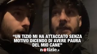 Diego Cammarata e il suo cane attaccati da uno sconosciuto [upl. by Atinomar884]