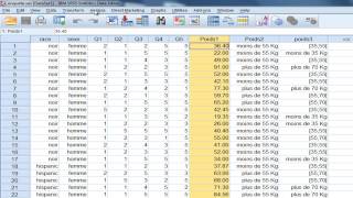 SPSS tutoriel Statistiques descriptives [upl. by Nosaes]