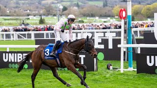 GAELIC WARRIOR sparkles in the 2024 Arkle Challenge Trophy [upl. by Amaleta398]