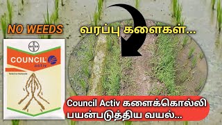 Council Activ களைக்கொல்லி No Weeds [upl. by Cherise]