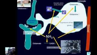 Pathophysiology of liver  part2 [upl. by Tem]