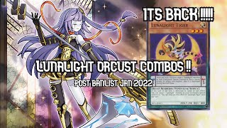 Lunalight Orcust combos Post January 2022 Banlist Yugioh [upl. by Hgielsel915]