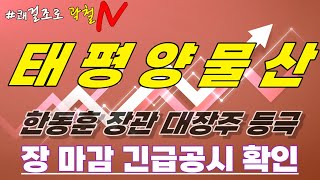 태평양물산 주가전망 장 마감 긴급공시 확인 훈장 달고 저평가구간 탈출한다 필승대응전략 한동훈장관관련주정치테마주 [upl. by Greenwell]