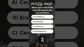 Which part of the brain controls balance and coordination motivation riddles gk quiz [upl. by Bierman]