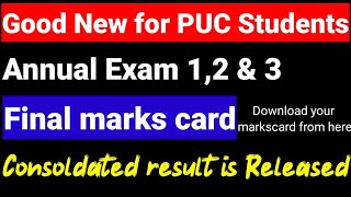 2nd PUC Annual exam combined result 2024final marks card 2024 final exam 12amp3 results link ksea [upl. by Cranston]