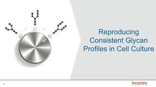 Modification of Glycans in Bioprocessing [upl. by Truscott237]