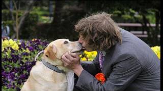 Man Marries his Dog [upl. by Lydell]