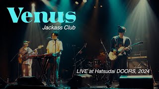 Jackass Club  Venus（LIVE at Hatsudai DOORS 2024） [upl. by Fillender197]