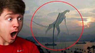 Reacting to GIANT MONSTER SIGHTINGS in REAL LIFE [upl. by Ambler]