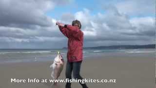 Kitefishing from the Shore  Uretiti Beach Fishing [upl. by Brent]