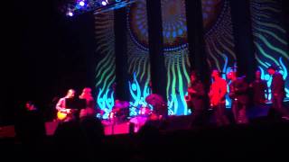 Tedeschi Trucks Band  Id Rather Go Blind [upl. by Shamrao]