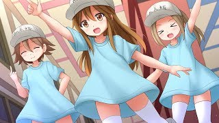 Sensei Anone「Platelets Theme Song」Hataraku Saibou TV Full [upl. by Wooster]