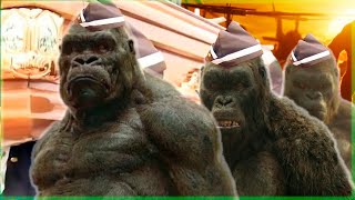 Kong Skull Island  Coffin Dance Meme  Astronomia Song Cover [upl. by Anifur]