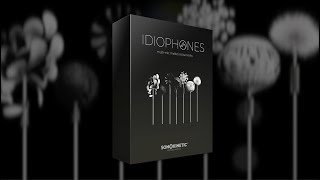 Idiophones  Overview [upl. by Agnizn]