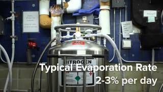 Filling and Maintaining Liquid Nitrogen Tanks [upl. by Isolda]