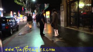 WTF Fight Homeless Attack People Bumfights Argument Crazy LOL Yelling Downtown LA Hollywood [upl. by Zane]