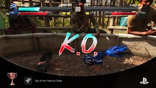 Far Cry 6 rooster fight [upl. by Rudiger]