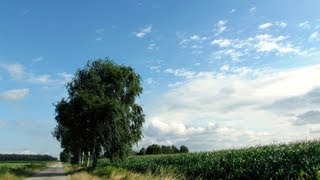 Weerbericht zondag Vandaag en morgen geregeld zon [upl. by Notelrahc104]