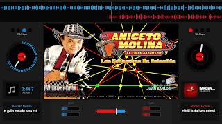 ANICETO MOLINA MIX BAILABLES 2024 BASS 🎶🎹♪♫⚡🎧😈ÐJ JUλ₦ ₡λŘŁØŞ λŁVλŘλÐØ★ [upl. by Bobbe]