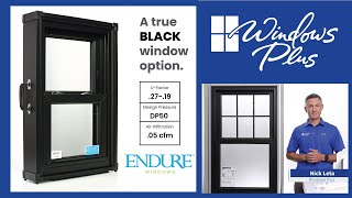 ProVia Endure®  Product Spotlight  Windows Plus Cincinnati [upl. by Chalmers131]