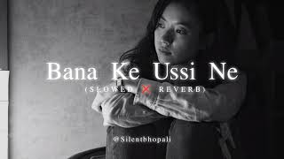 Bana Ke Usi Ne Ujada Mera Aashiyana  New Songs  New Version  Slowed Reverb  Full Lofi Songs 2024 [upl. by Grishilda271]