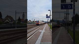 Vier Zugsichtungen beim Bahnhof Rupperswil [upl. by Winola372]