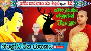 Jathaka katha නිග්‍රෝධ මිග ජාතකය  nigrodhamiga jathakayaudalamaththe nandarathana thero damsilutv [upl. by O'Neill]