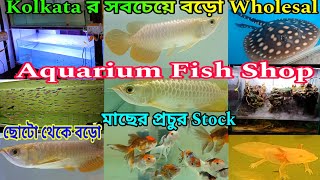 কলকাতায় রঙিন মাছের হোলসেল দোকান  Aquarium Fish Price Update  Aquarium Fish Shop Judos Pet Farm [upl. by Cully]