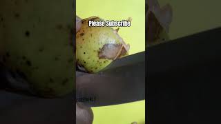 How to Peel Pomegranate youtubeshorts short farming food home viral [upl. by Ondrea]