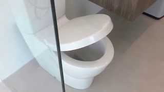 Kohler Ove Close Coupled Toilet Suite Soft Close Seat [upl. by Anilas]