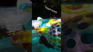 Too many floaties miami poolparty rafts [upl. by Sherrill445]