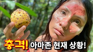 아마존 파괴의 진실 반드시 봐야 할 다큐멘터리 아마존EP4 다큐멘터리 documentary amazonjungle [upl. by Aina]