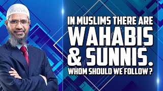 In Muslims there are Wahabis and Sunnis Whom Should we Follow  Dr Zakir Naik [upl. by Nyrmac531]