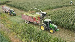 Chopping Corn Silage near Dalton Ohio  Steiner Grain Farms [upl. by Fulmer]