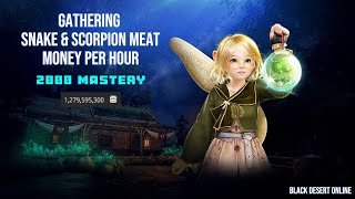 BDO Gathering Snake amp Scorpion Meat  2000 Mastery  Money Per Hour  2024 [upl. by Eiramrebma]