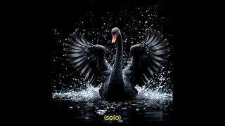 The black swan [upl. by Akinhoj]