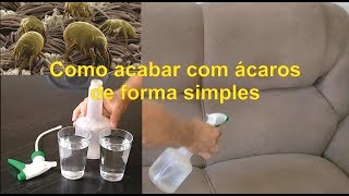 como acabar com Ácaros facilmente [upl. by Christiano340]