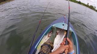 Kayak fishing Roodeplaat Dam South Africa [upl. by Feld]